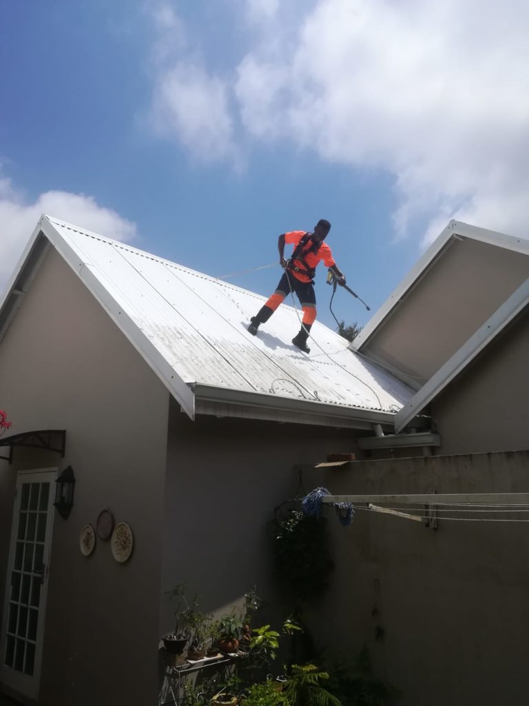 Roof CLeaning