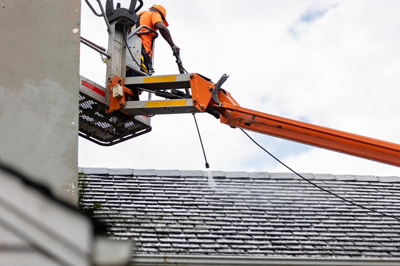 roof cleaning